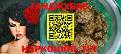 сатива Гудермес