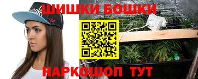 сатива Гудермес