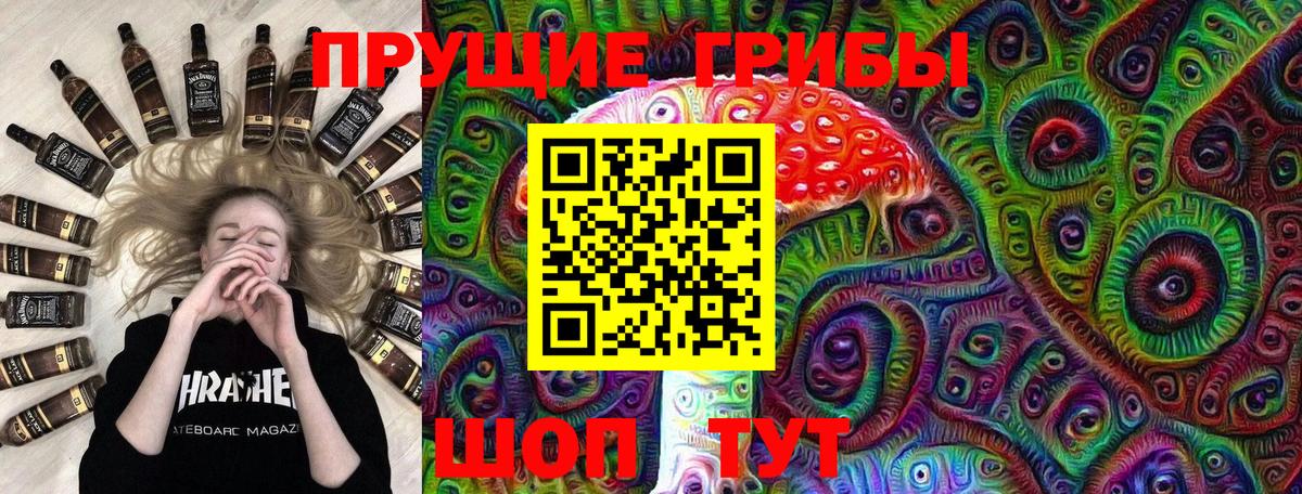 Донской  Псилоцибиновые грибы Psilocybe  Вход с VPN 